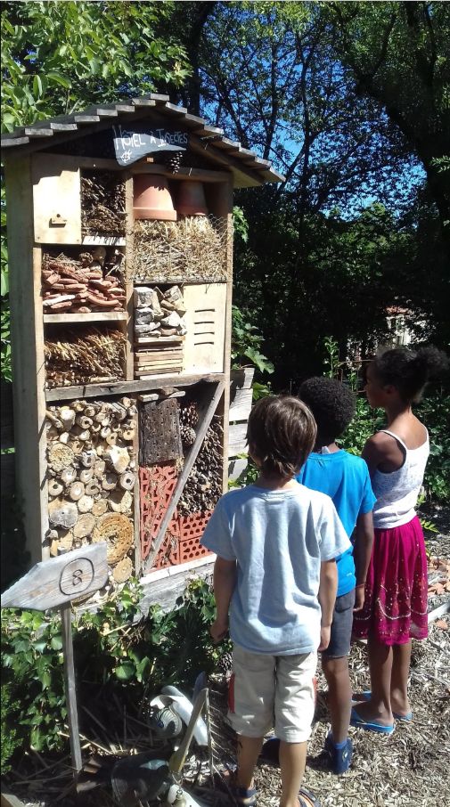 Découverte de la biodiversité – Jardin des Paradis