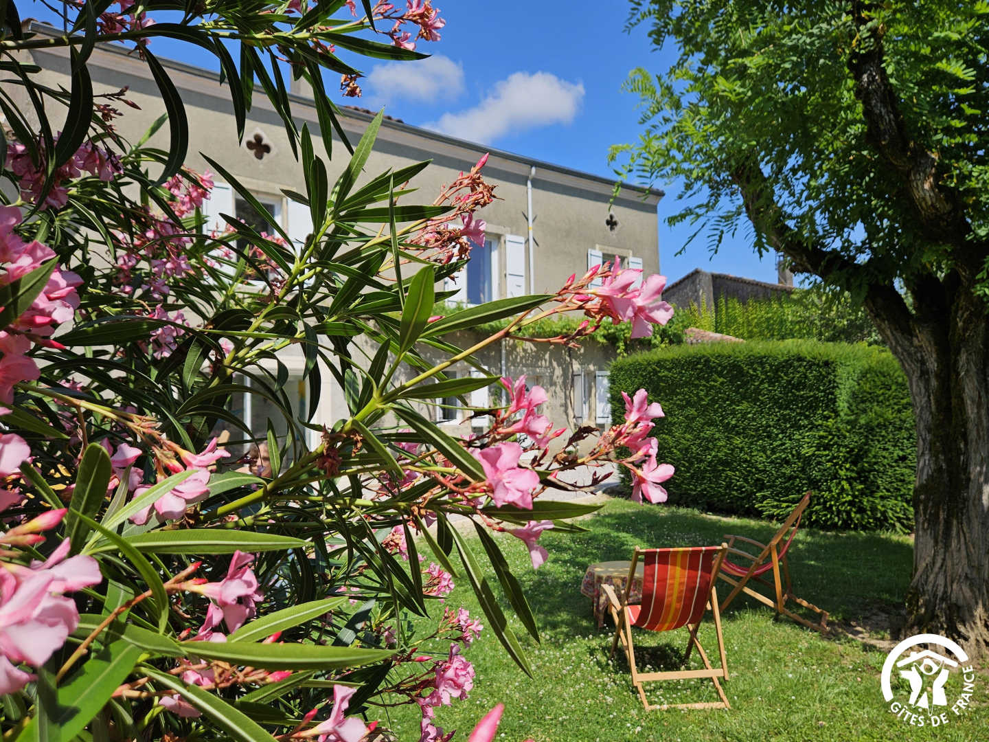 La Surprise des Jumelles