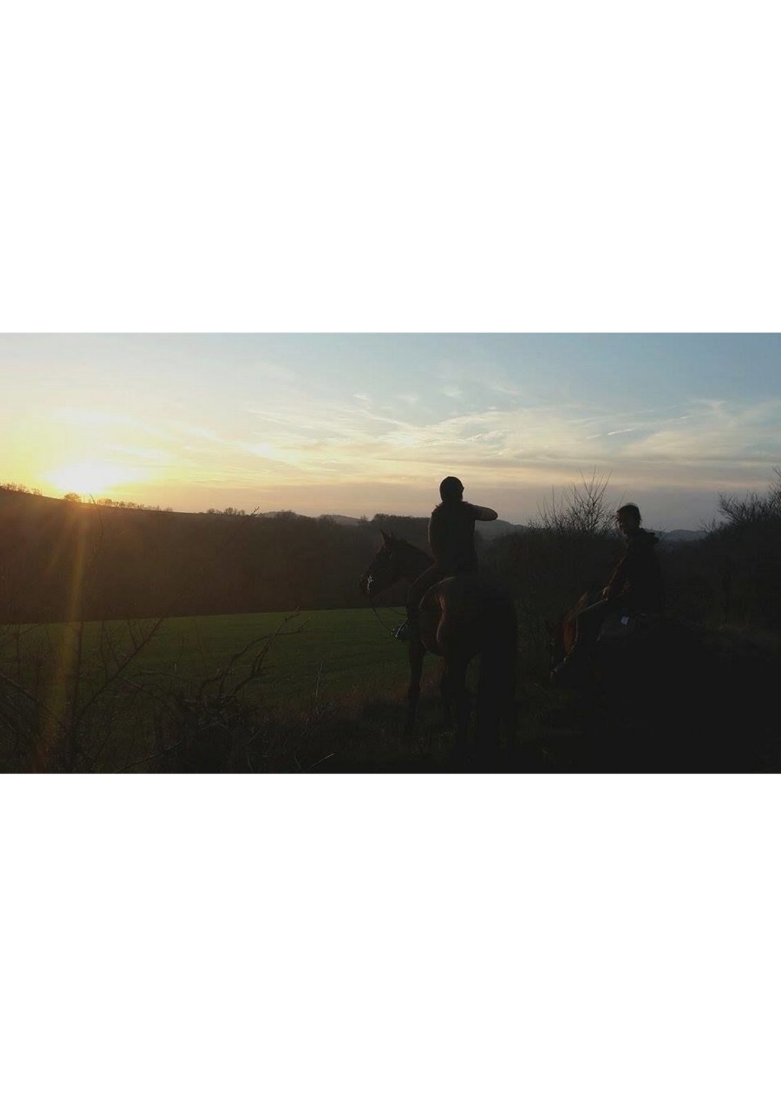 Les Chevaux d’En Belaval