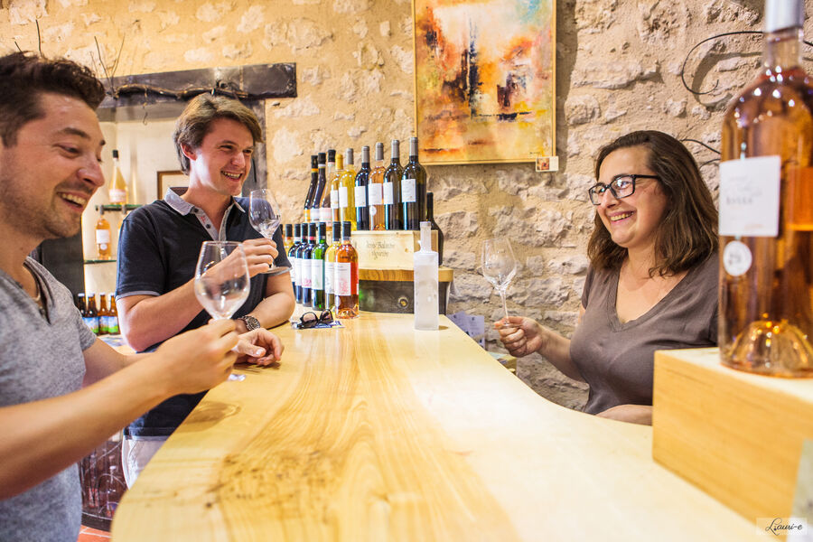 Pass Vigneron au Domaine d’Escausses – Château l’Enclos des Roses